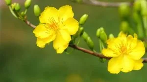 Nguyễn Nhất Thống: Chùm thơ 017