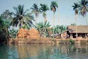 Nguyễn Nhất Thống: Chùm thơ 017