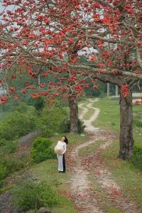 Chùm thơ tình – Phạm Quang Chúc (Giao Yến – Giao Thủy)