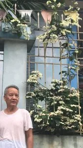 Chùm thơ tình – Trương Bá Lộc