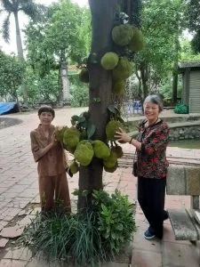Song bút xướng họa: Thanh Ngô & Thị Vân