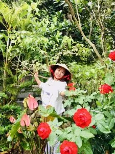 Câu chuyện khóm hồng – Thơ Xuân Nương