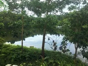 Chùm thơ tình – Phạm Thi