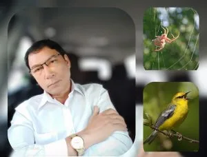 Chùm thơ tình – Quyền Dương Tử