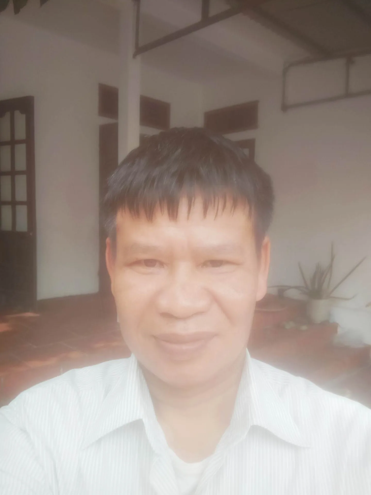Tình quê – Thơ Vũ Đức Vinh