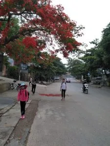 Chùm thơ tình – Trần Quyết Thắng