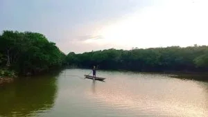 “Dị nhân” giữa Rú Chá – Tản văn Cỏ Ba Lá