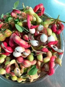 Tống Thu Ngân: Chùm thơ tình 001