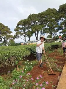 Viết về Ngày Thương binh – liệt sĩ 27/7 – Thơ Đinh Nho Đông