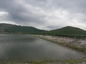 Chùm thơ tình – Dậu Nguyễn (Long An)