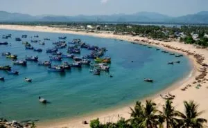 Bóng dừa – Tản văn Hải Trần
