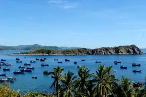 Bóng dừa – Tản văn Hải Trần