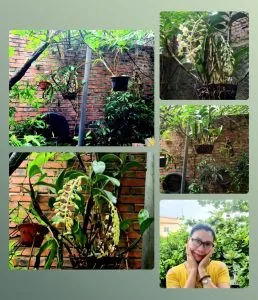 Lạc mùa – Thơ Phương Lý