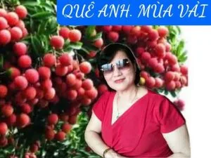 Quê anh mùa vải – Thơ Nguyễn Thiện Đức