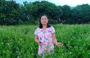 Nhớ quê – Thơ Tài Phí