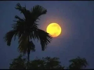 Rằm Trung thu – Thơ Phạm Văn Việt
