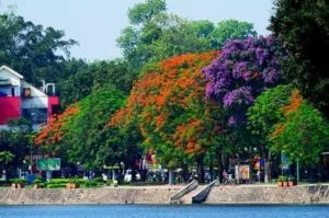 Vũ Thanh Mai: Chùm thơ “Tinh hoa cuộc sống”