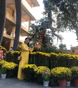Hình bóng quê hương – Thơ Vũ Loan