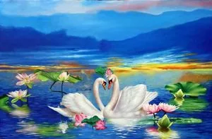 Dáng thiên nga – Thơ Bùi Trọng Nghiêm