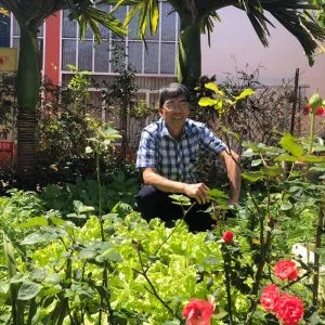 Hoa cỏ may – Thơ Lê Thi