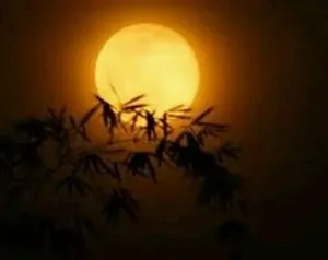 Nửa hồn băng giá – Thơ Hải Quân Lê