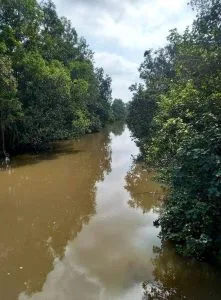 Chùm thơ tình – Nguyễn Dậu
