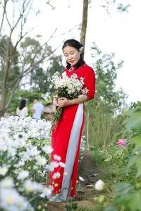 Cúc họa mi – Thơ Vũ Lệ Hương