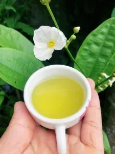 Thưởng trà – Thơ Trần Mạnh