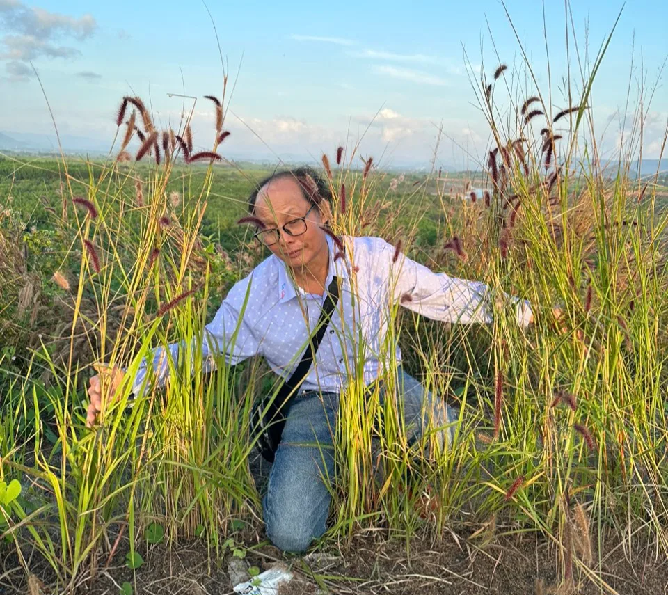 Phạm Văn Ân – MS001: Bình chọn thơ bốn dòng 2024