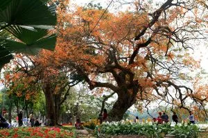 Mơ ước phút giao mùa – Thơ Lê Đình Hồng (Bút danh: Bình Yên Nhé)