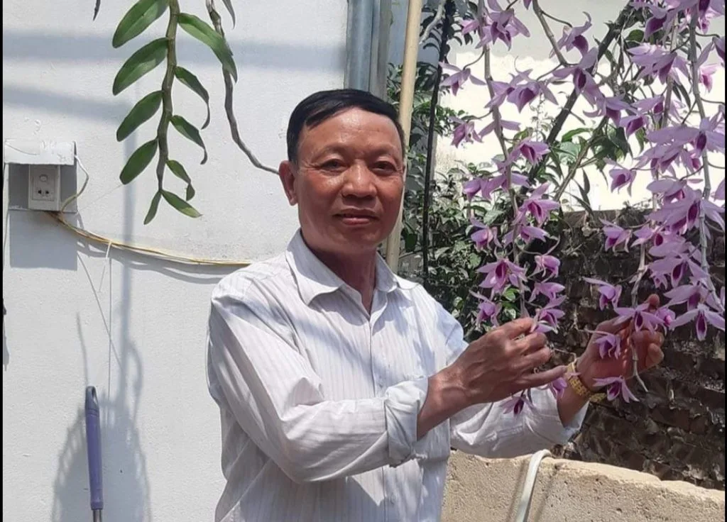Mộng Xuân – Thơ Vương Phúc
