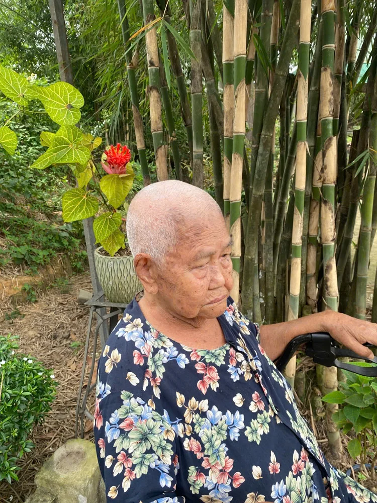 Mẹ già – Thơ Nhân Tâm