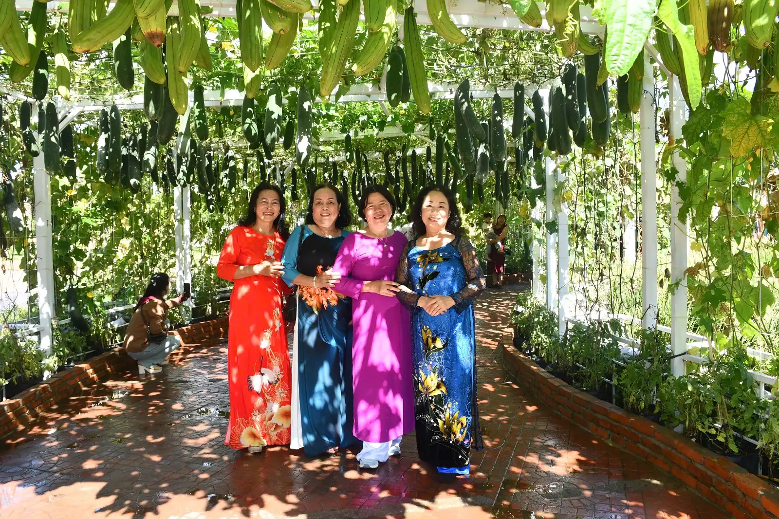Công ty Cổ phần Truyền thông Đam Books